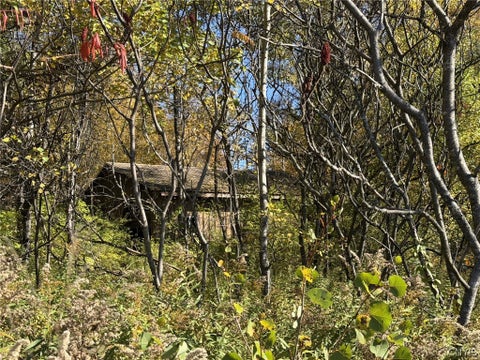 Tiny photo for 1521 Shoemaker Road, German Flatts, NY 13407 (MLS # S1723960)