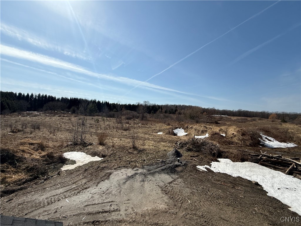 Lot # 22 Harrington Terrace, Manlius, New York image 22