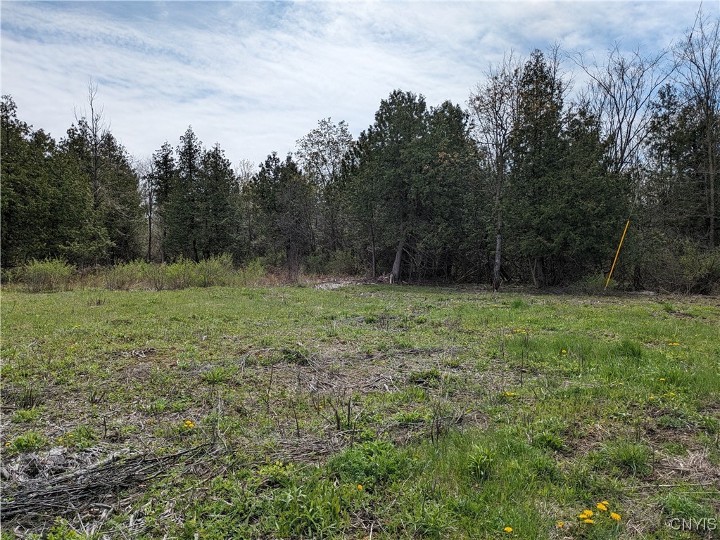 16744 Lot #1 Thompson Trail Drive, Brownville, New York image 2