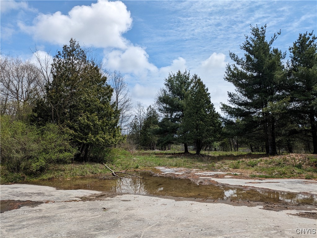 16744 Lot #1 Thompson Trail Drive, Brownville, New York image 16