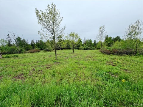 Vacant Land For Sale - County Rte 8 St<br/> Cape Vincent, NY 13618