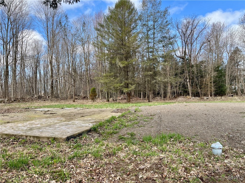 15083 Kent Road, Sterling, New York image 3