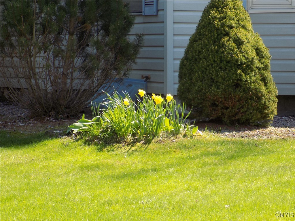 5500 Old Oneida Road, Rome-Outside, New York image 4