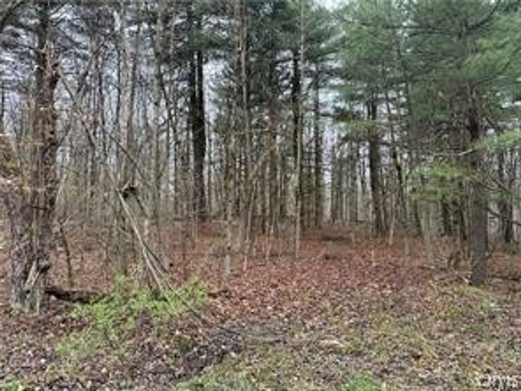 Photo of Donnerville Road, Russell, NY 13684 (MLS # S1669222)
