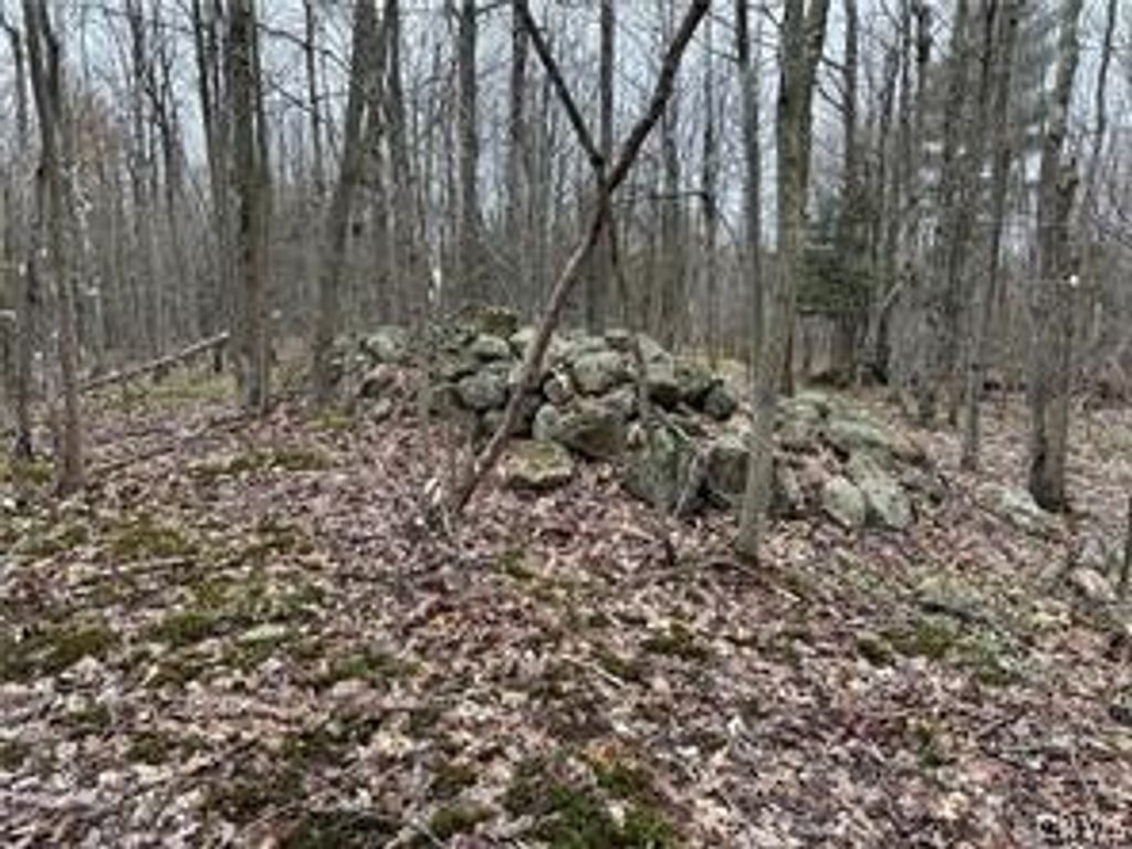 Photo of Donnerville Road, Russell, NY 13684 (MLS # S1669222)