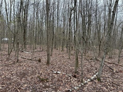Vacant Land For Sale - Donnerville Road<br/> Saint Lawrence County, Russell, NY 13684