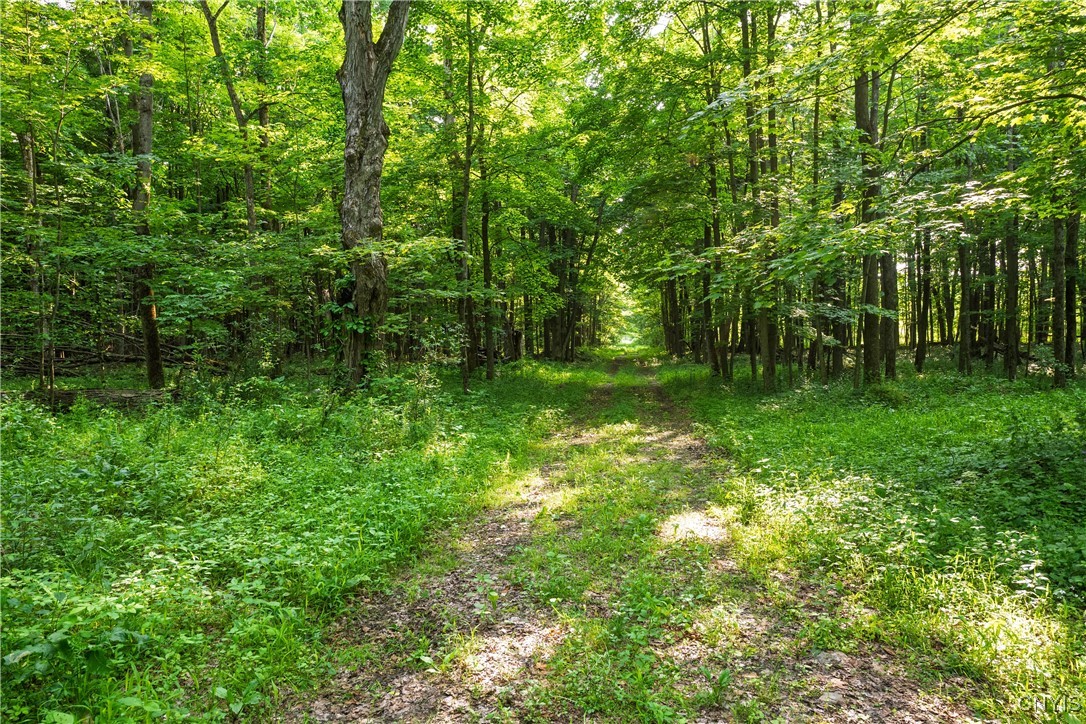Cummings Road