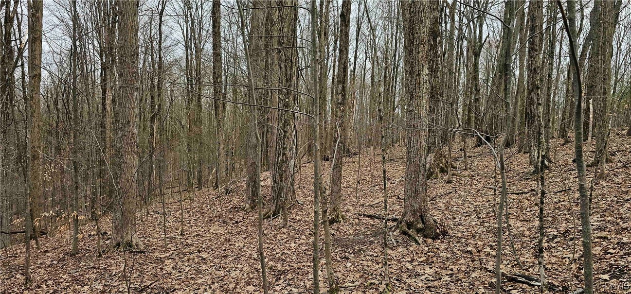 Thayer Road, Erin, New York image 20