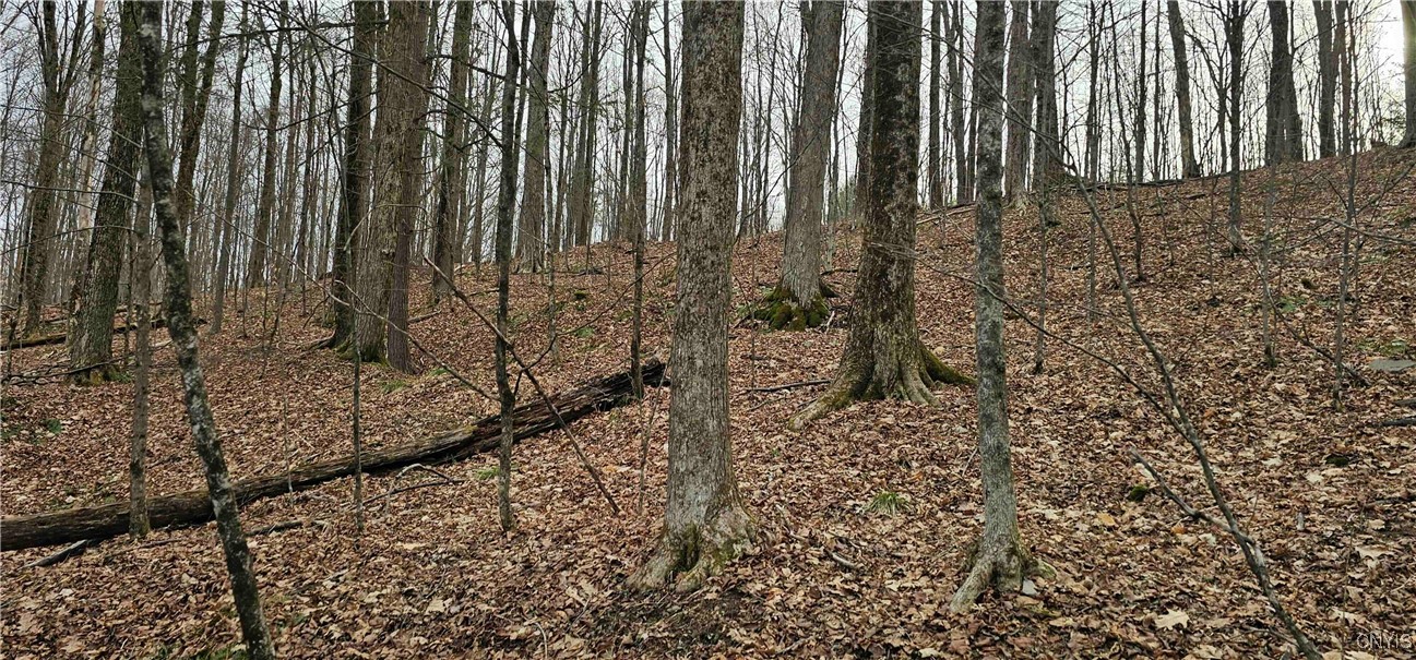 Thayer Road, Erin, New York image 27