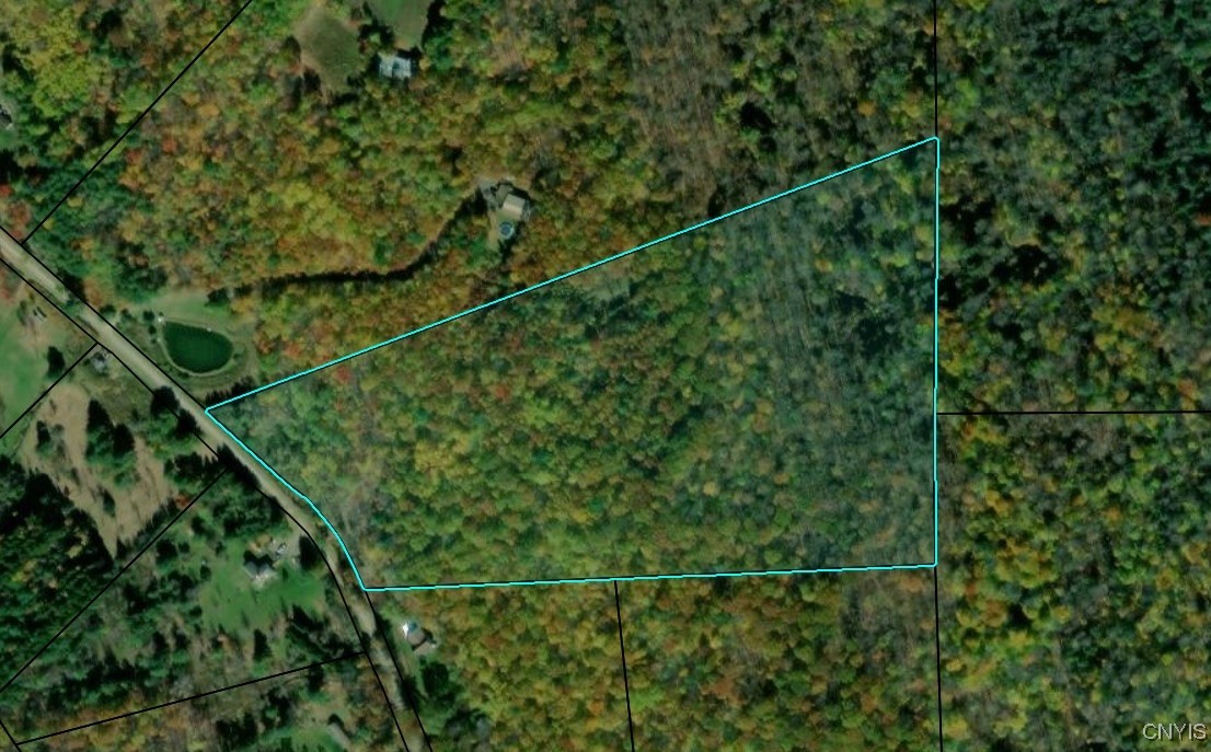 Thayer Road, Erin, New York image 5