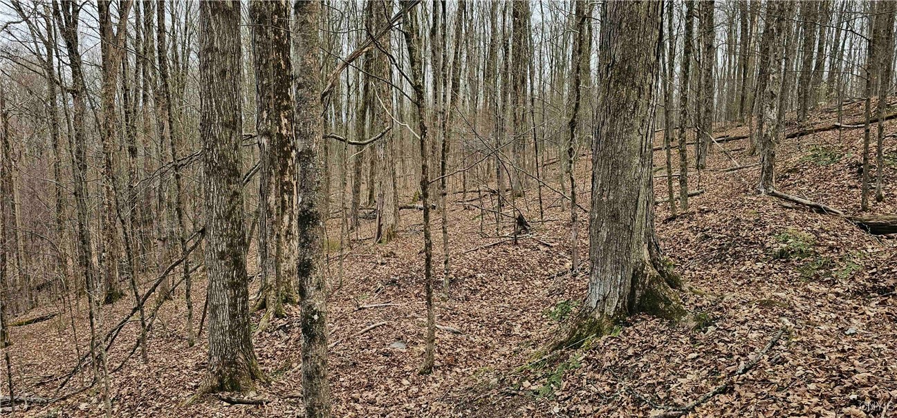 Thayer Road, Erin, New York image 26