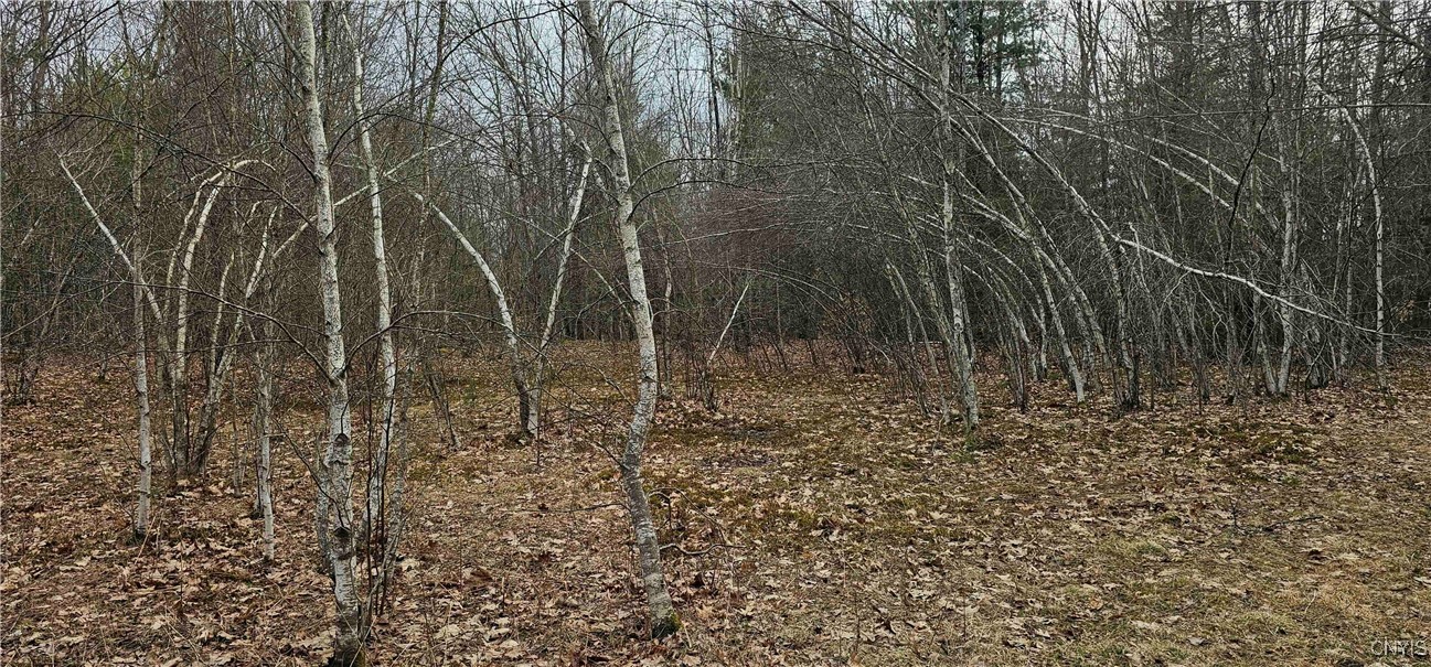 Thayer Road, Erin, New York image 40