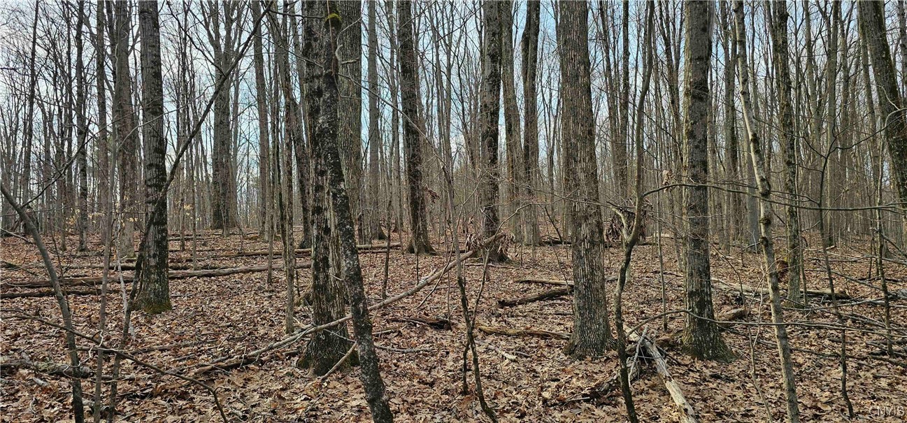 Thayer Road, Erin, New York image 4