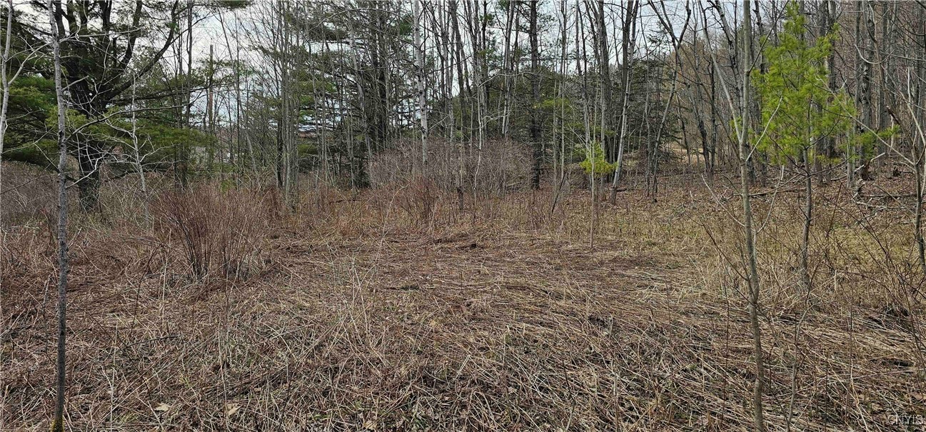 Thayer Road, Erin, New York image 44