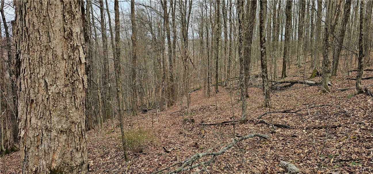 Thayer Road, Erin, New York image 29
