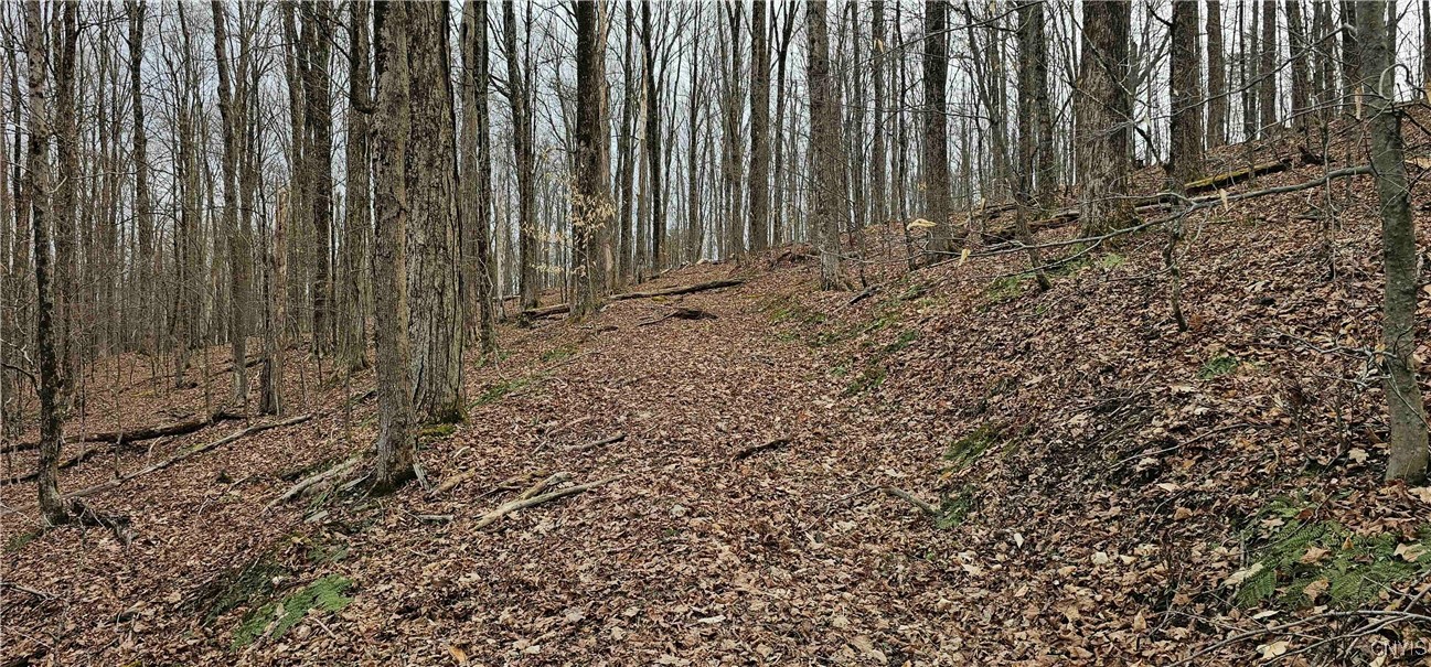 Thayer Road, Erin, New York image 28