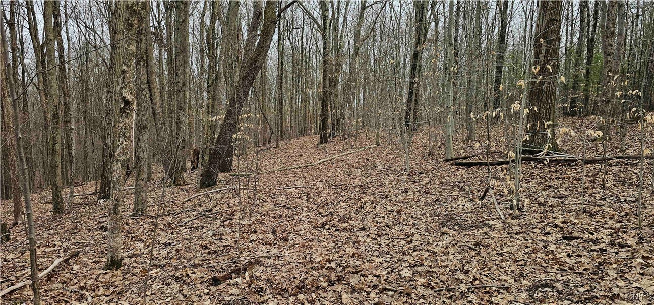 Thayer Road, Erin, New York image 19