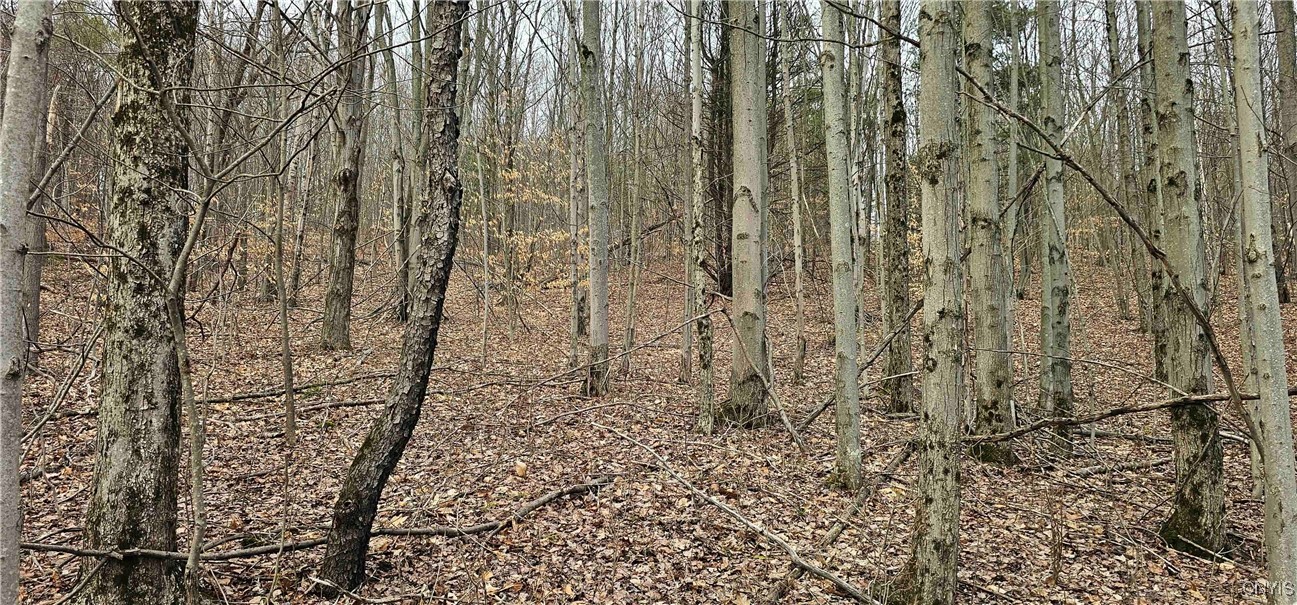 Thayer Road, Erin, New York image 36