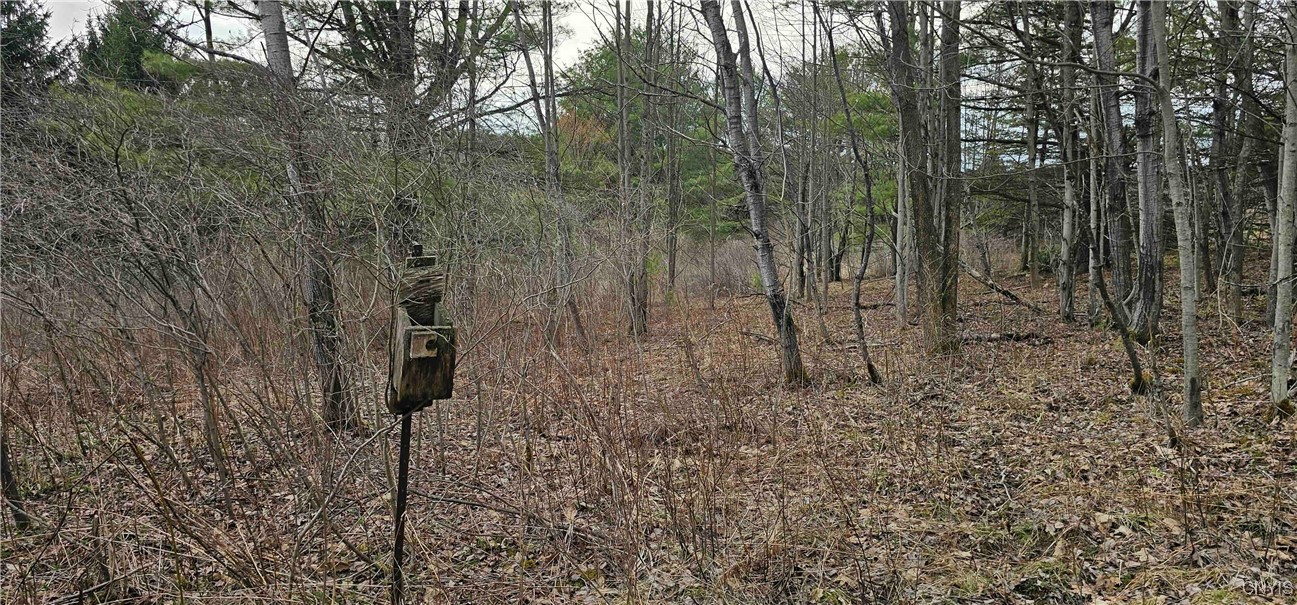 Thayer Road, Erin, New York image 43