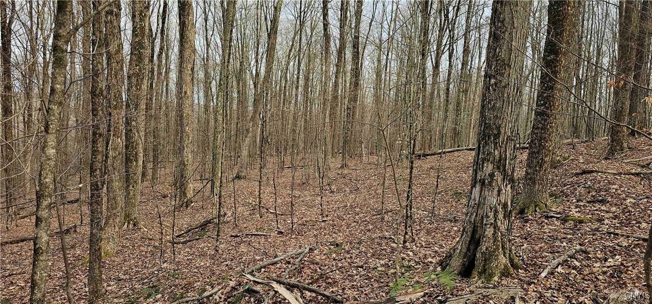 Thayer Road, Erin, New York image 33