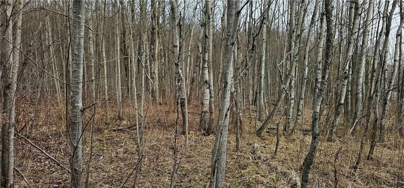 Thayer Road, Erin, New York image 45