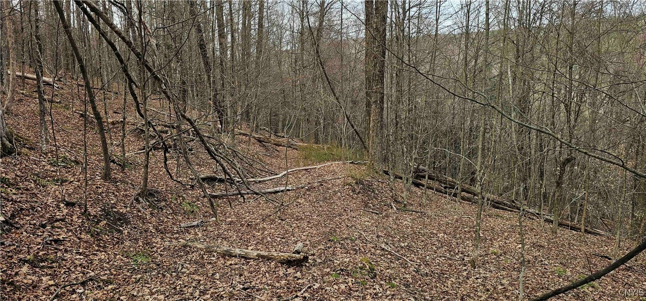 Thayer Road, Erin, New York image 32