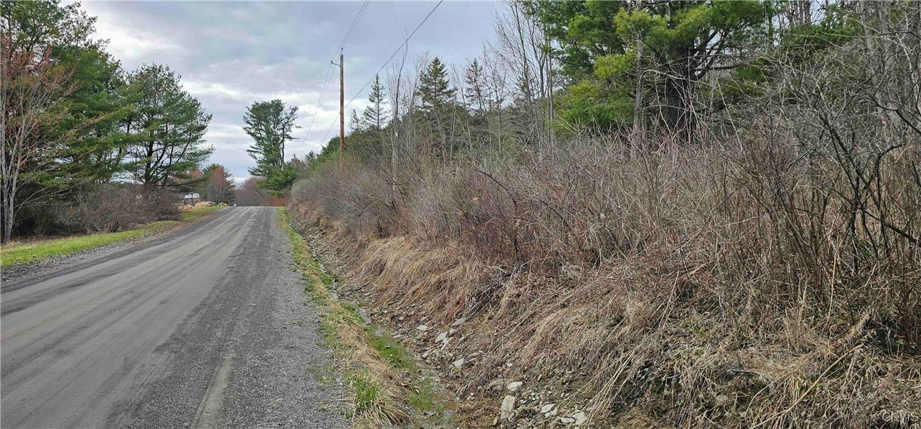 Thayer Road, Erin, New York image 47