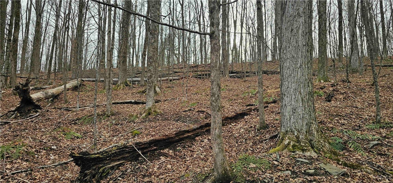 Thayer Road, Erin, New York image 25