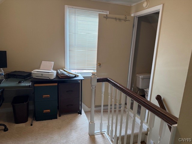 31 Hamlin Street, Cortland, New York image 29