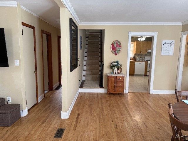 31 Hamlin Street, Cortland, New York image 18