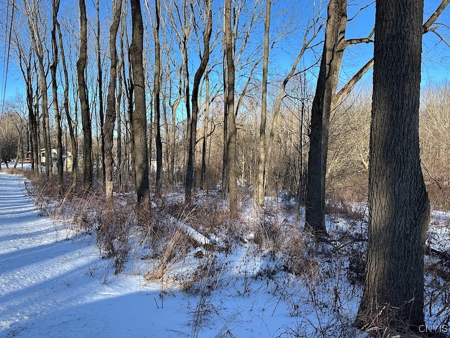 Ouderkirk Road, Sandy Creek, New York image 1