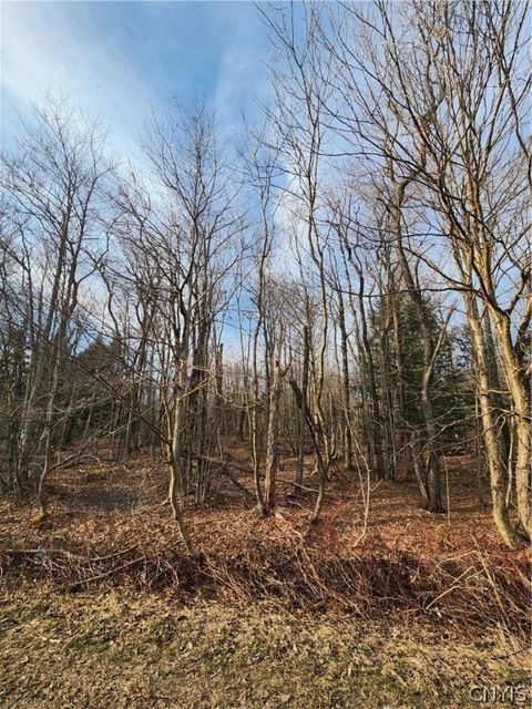 Vacant Land For Sale - 000 Jess Drive<br/> Oswego County, Redfield, NY 13437