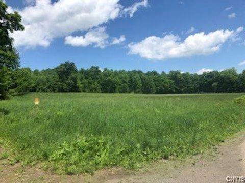 Vacant Land For Sale - 10277 Chesebro Road<br/> Brookfield, NY 13485