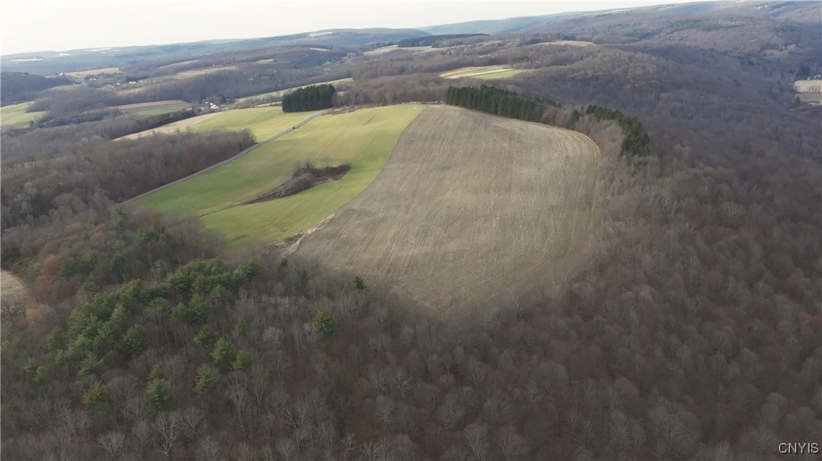 Mcmahon Road, Berkshire, New York image 9