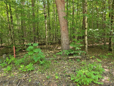 Photo for Lot #2 George Hill Road