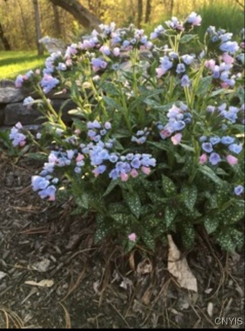 Tiny photo for 22507 State Route 37, Pamelia, NY 13601 (MLS # S1657478)