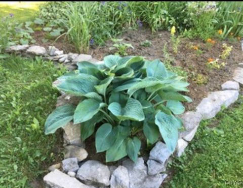 Tiny photo for 22507 State Route 37, Pamelia, NY 13601 (MLS # S1657478)