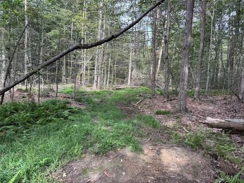Vacant Land For Sale - Allen Road<br/> Sardinia, NY 14055