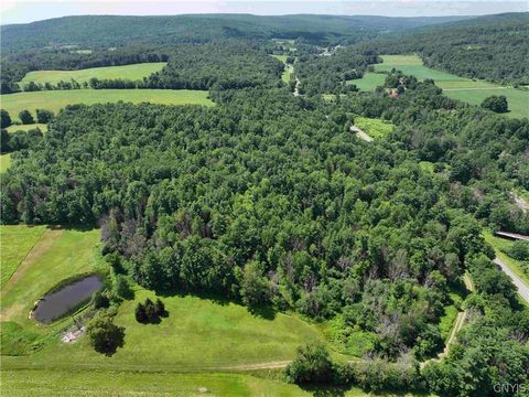 Vacant Land For Sale - Cr-17<br/> Belfast, NY 14711