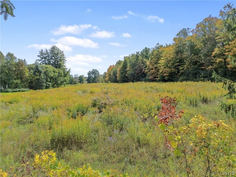 Photo of 0 Kinyon Road, Otisco, NY 13110 (MLS # S1717382)