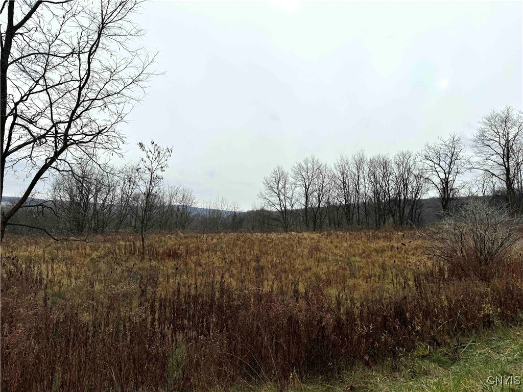 Town Line Road, Gerry, New York image 4