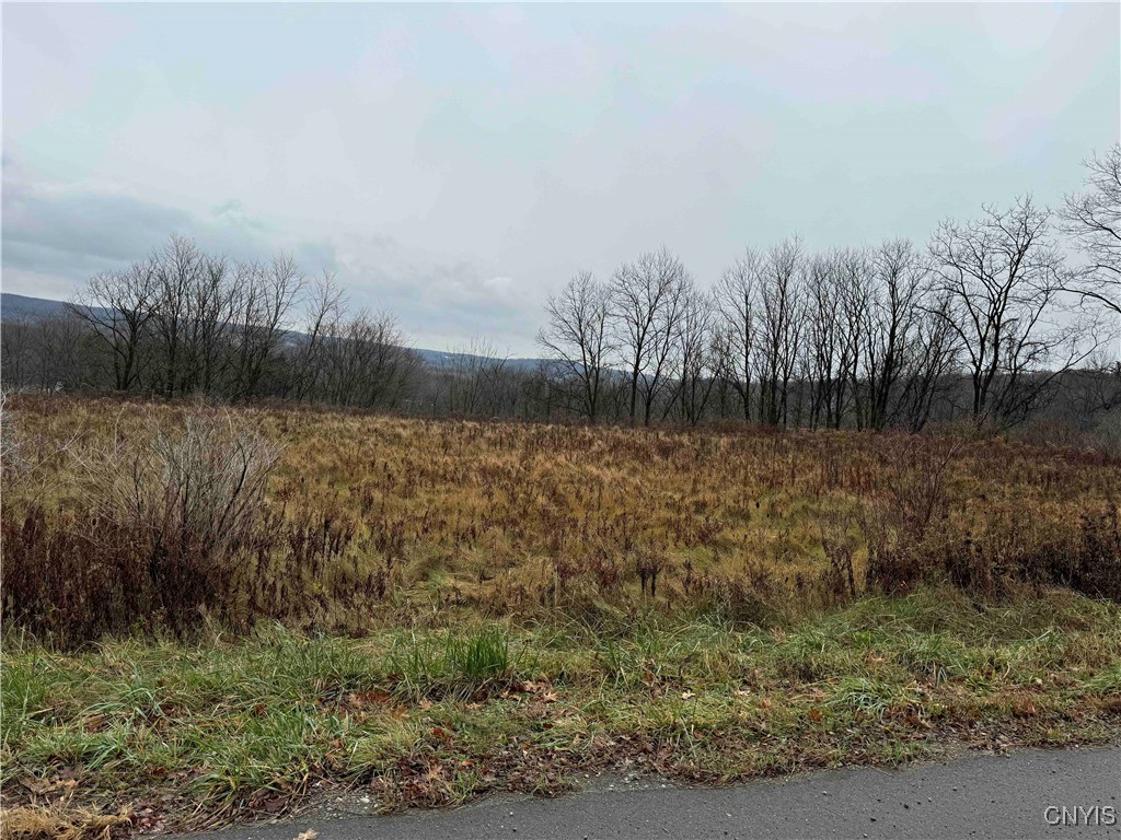 Town Line Road, Gerry, New York image 1