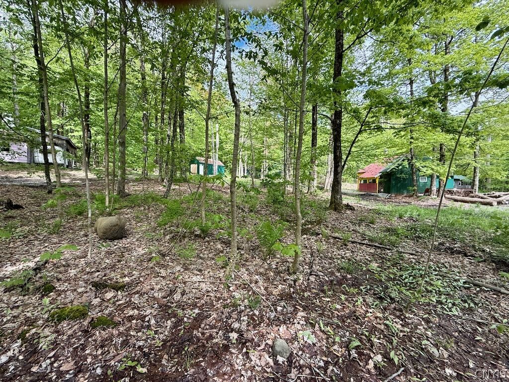 25 Little America Road