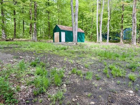 25 Little America Road Orwell NY 13144