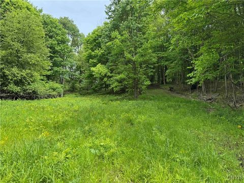Thornton Road Sinclairville NY 14782