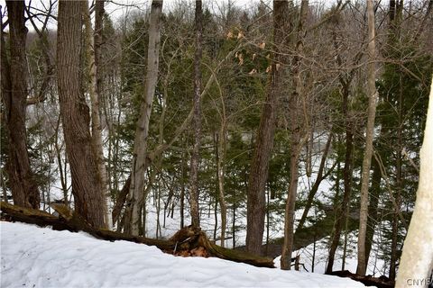 Vacant Land For Sale - 16888 Hagen Road<br/> Jefferson County, Ellisburg, NY 13083