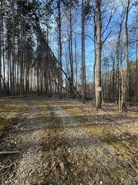 Photo for 22737 Dobbins Rd