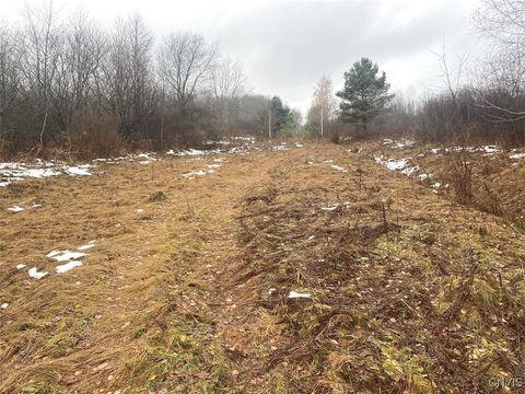 Vacant Land For Sale - 4409 State Route 275<br/> Allegany County, Friendship, NY 14739