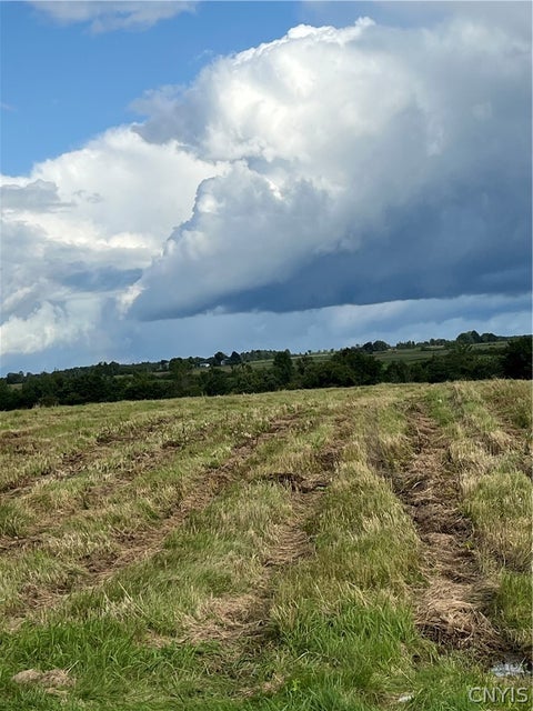 Photo of Elm Ridge Road, Le Ray, NY 13637 (MLS # S1707194)
