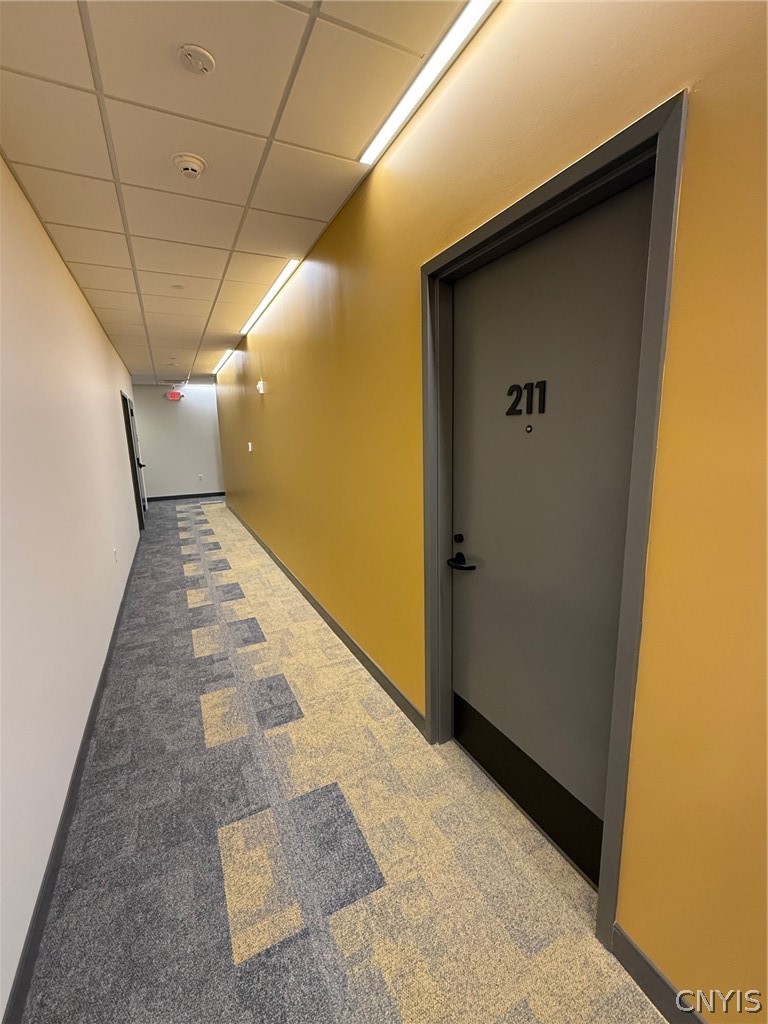 1117 W Fayette Street 211